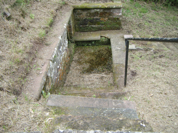 Stone lined pool full of grass and weeds