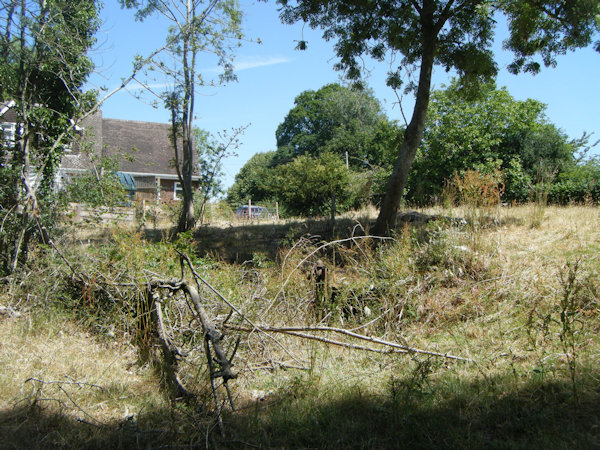 field with pump and well