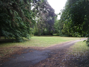 A flat area of grass lined with trees