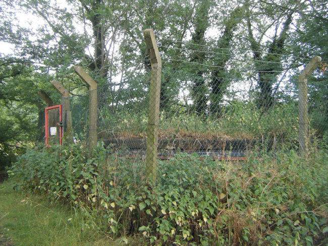 A large circular brick structure covered by a black cover and obscured by weeds