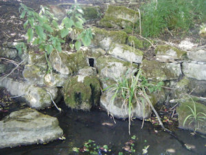 A crumbling stone wall next to a pool